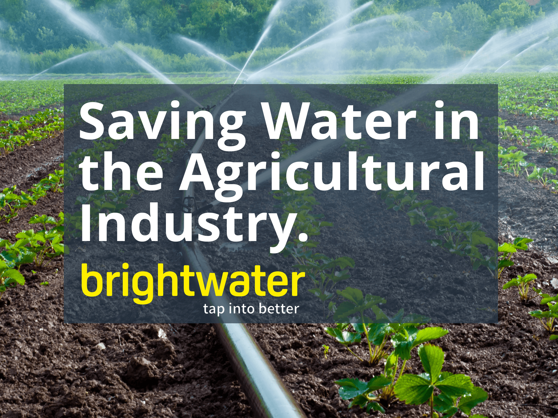save water in the agricultural Industry. A Brightwater Guide.